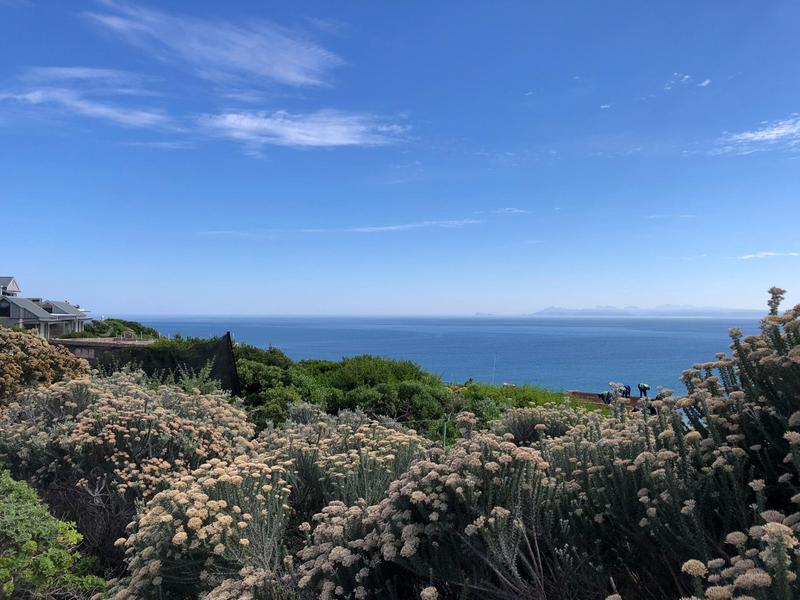 0 Bedroom Property for Sale in Romansbaai Estate Western Cape